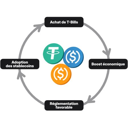 Illustration cercle vertueux des stablecoins